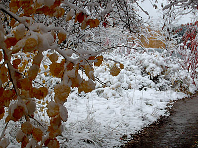 ������ ���� � ������������� (2006-10-04)