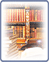 the Branch of SPSL SB RAS Library