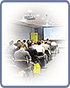 Practice and methods to organize viable presentation and promotion of research Workshop