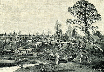 Ново-Николаевский поселок в 1893 г.