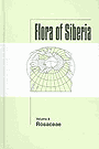 Книга Книга