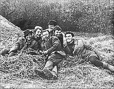 На уборке картофеля На уборке картофеля