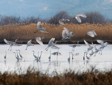 Тематические выставки