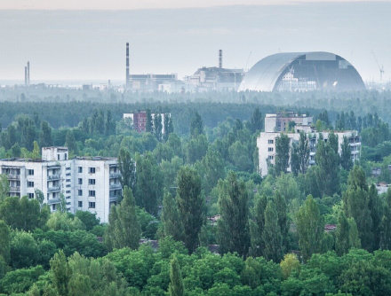 Тематическая выставка