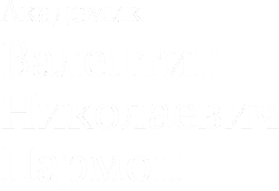 Академик Валентин Николаевич Пармон